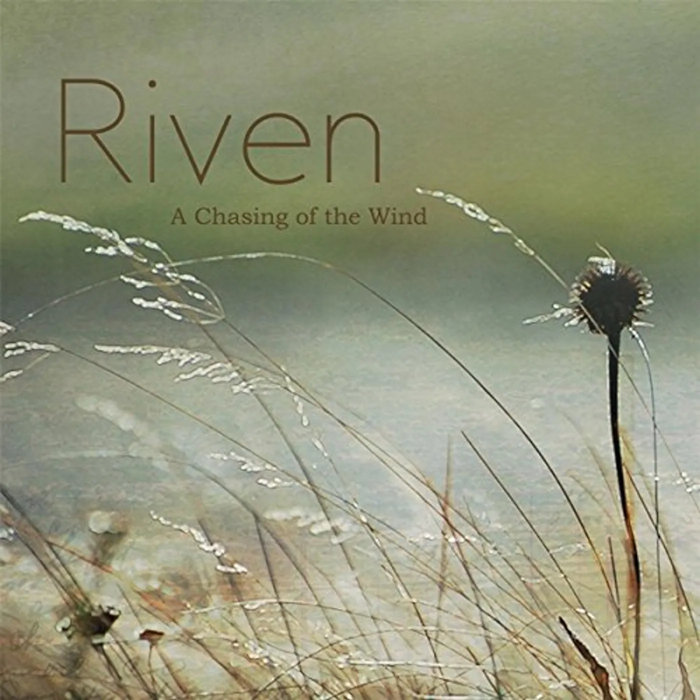 Riven CHASING OF THE WIND CD