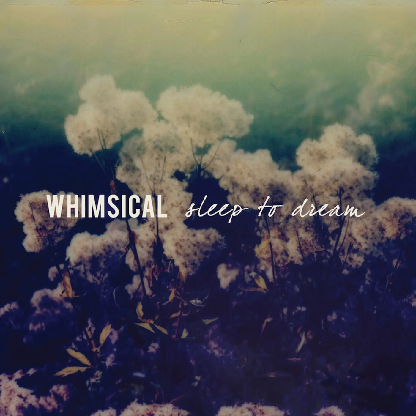 Whimsical Sleep To Dream Vinyl Record