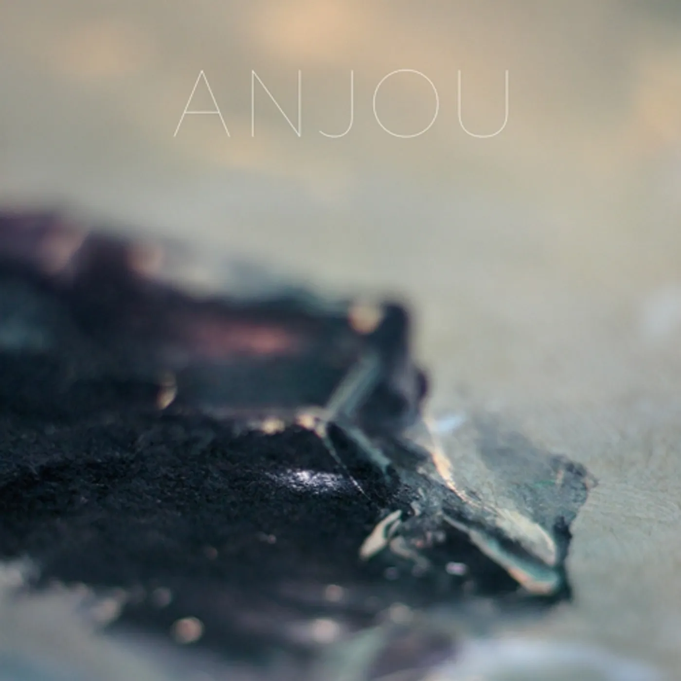 Anjou EPITHYMIA Vinyl Record