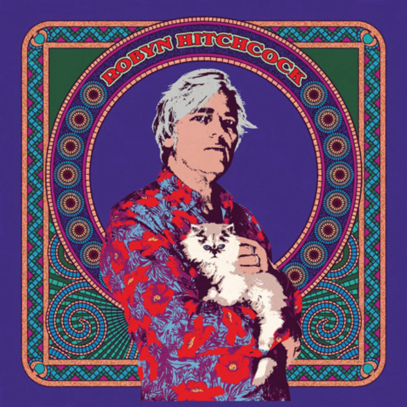 Robyn Hitchcock Vinyl Record