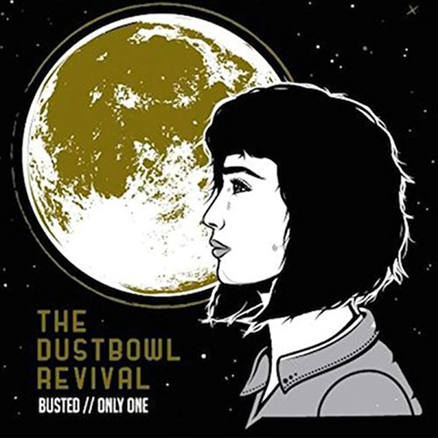 Dustbowl Revival Busted Vinyl Record