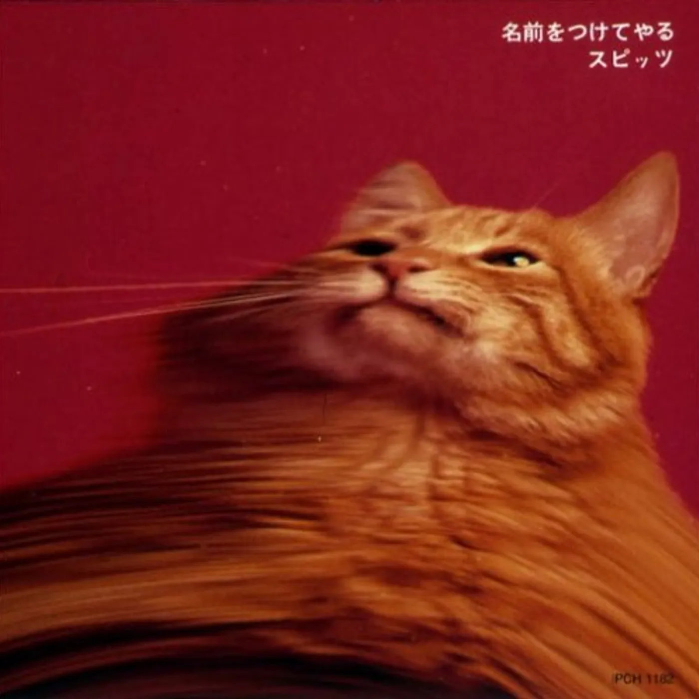 SPITZ NAMAE WO TSUKE TE YARU CD