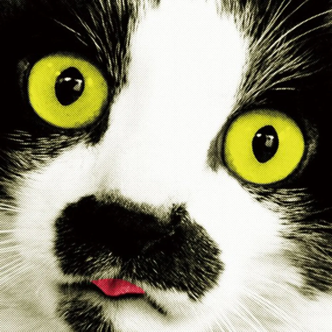 Uri Nakayama UNAGI CD