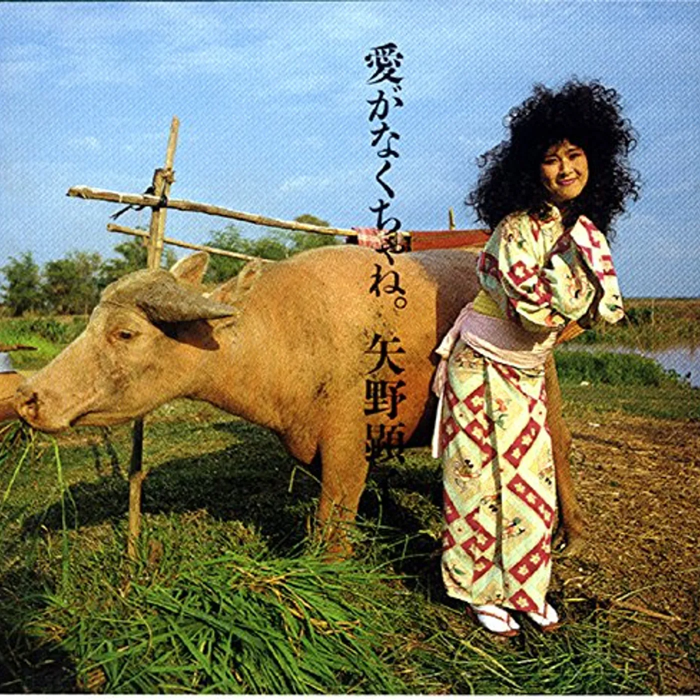 Akiko Yano AI GA NAKUCHA NE. CD
