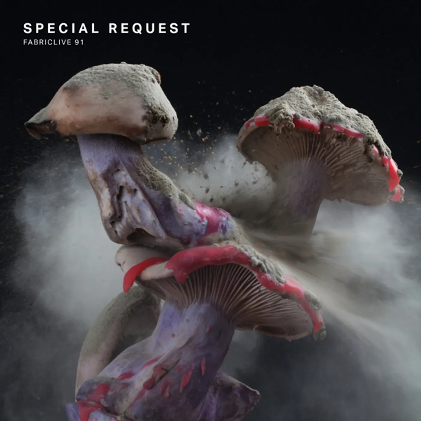 Special Request FABRICLIVE 91 CD