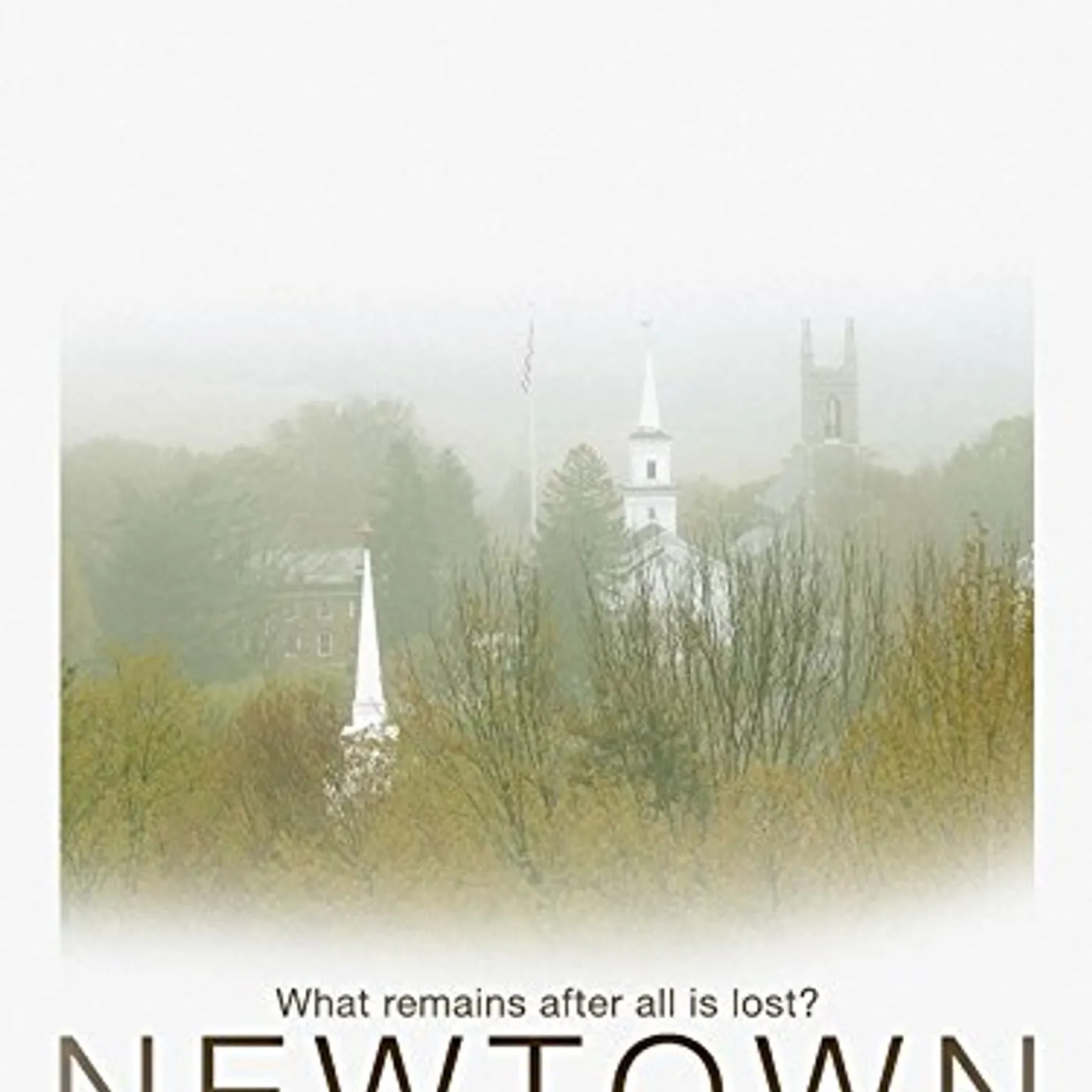 NEWTOWN DVD
