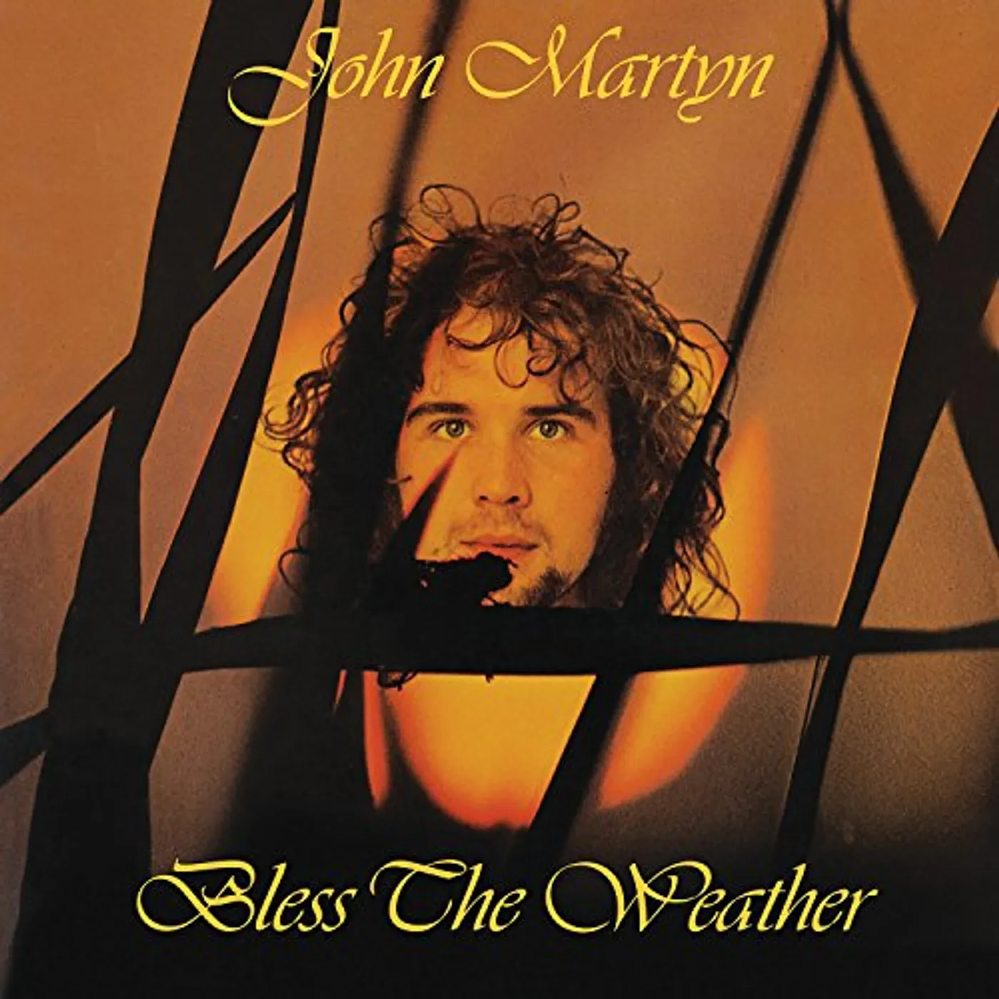 John Martyn Bless The Weather Vinyl Record