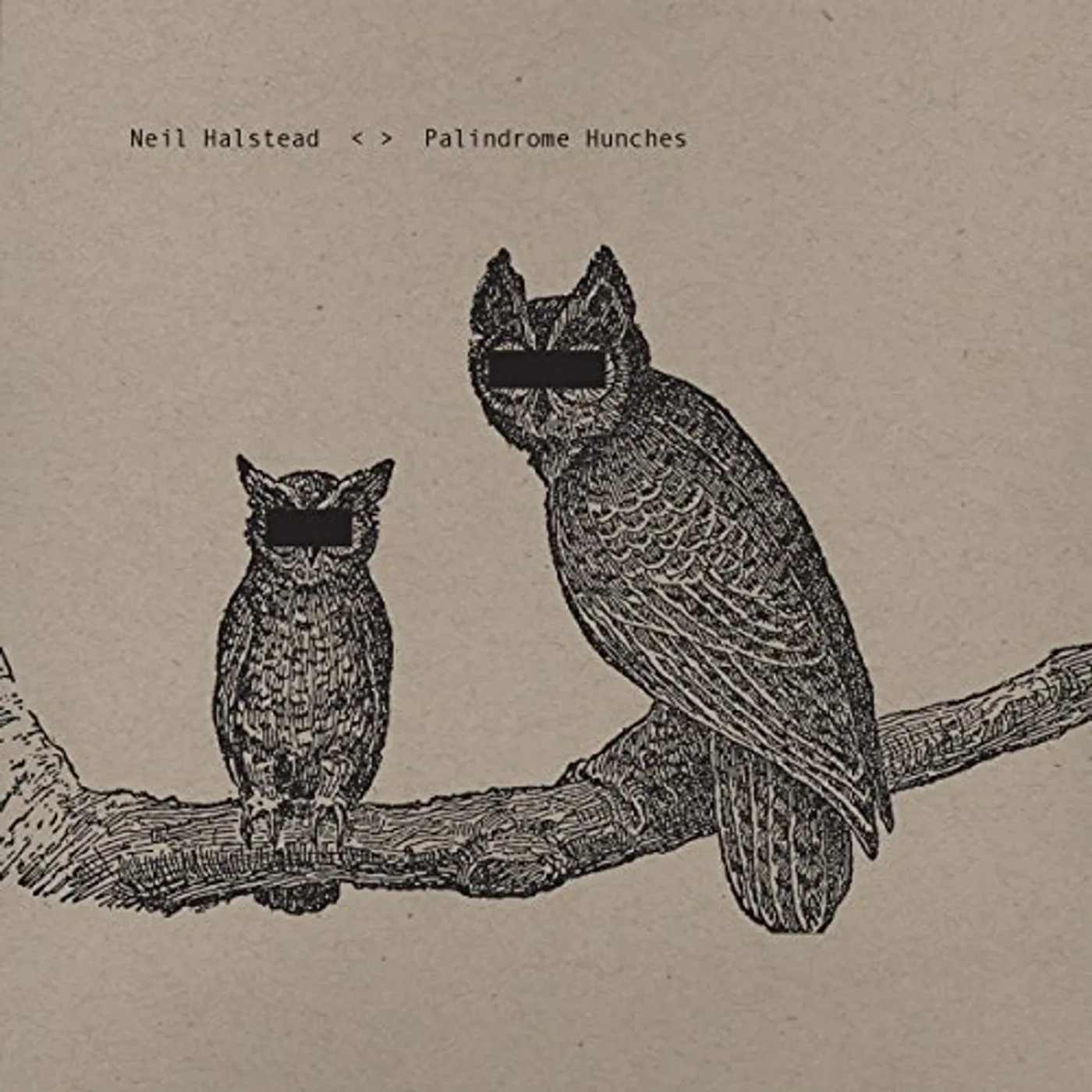Neil Halstead Palindrome Hunches Vinyl Record