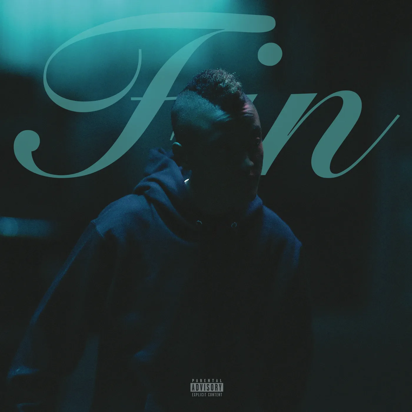Syd Fin Vinyl Record