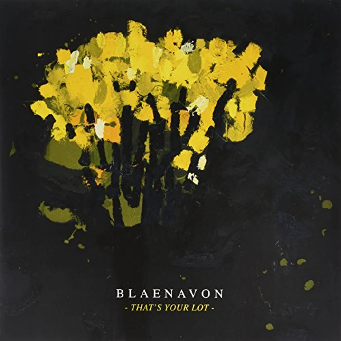 Blaenavon That's Your Lot Vinyl Record