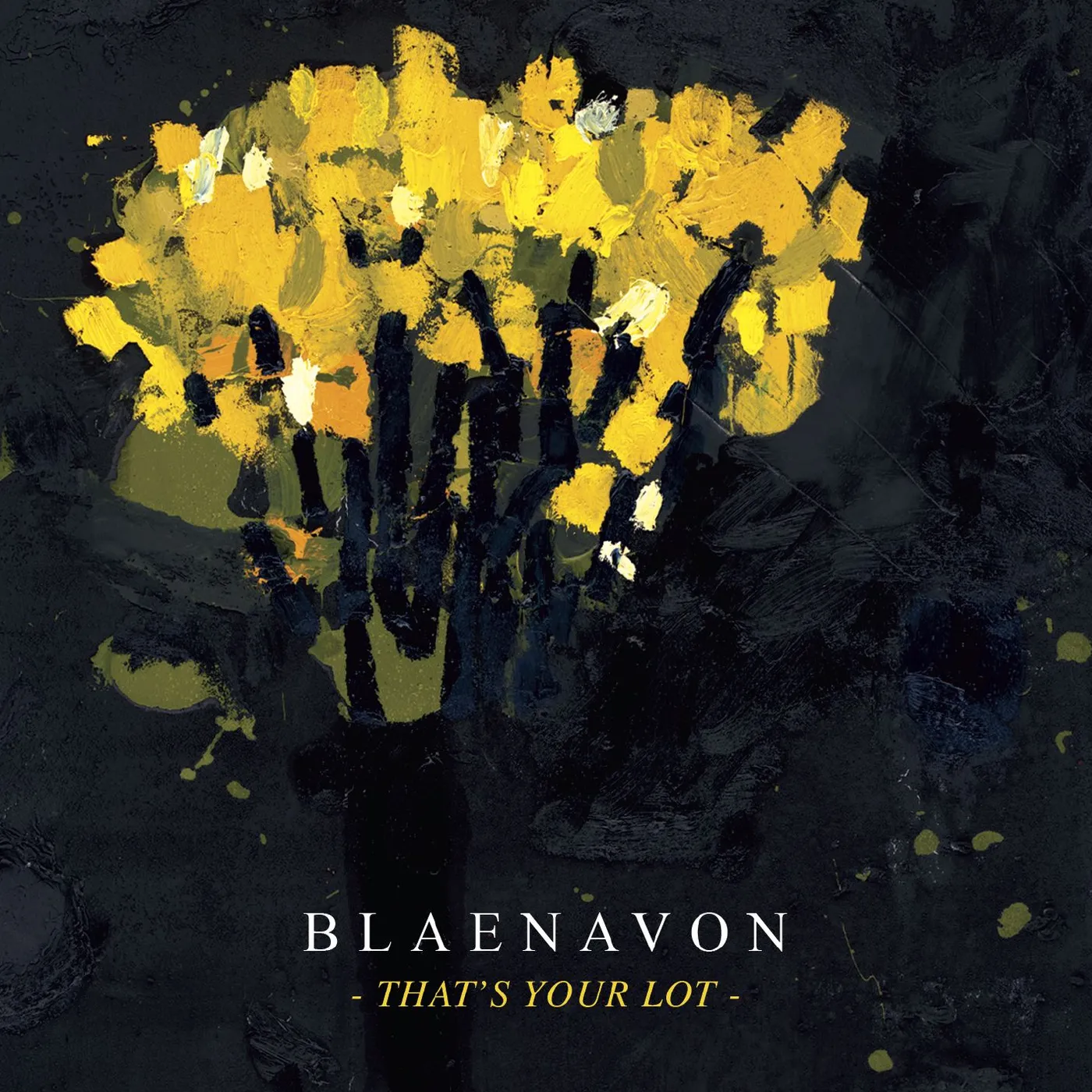 Blaenavon THAT'S YOUR LOT CD