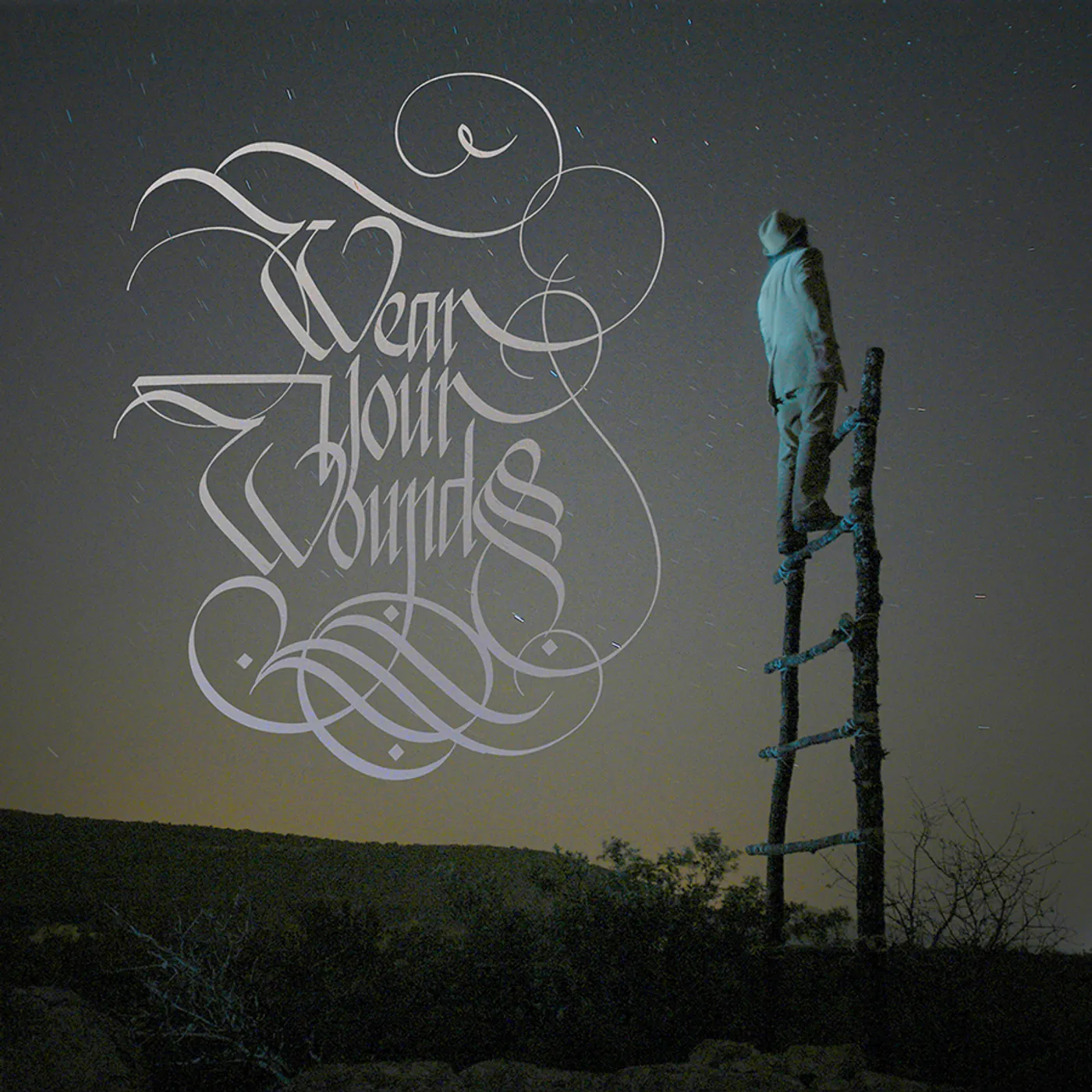 Wear Your Wounds WYW Vinyl Record