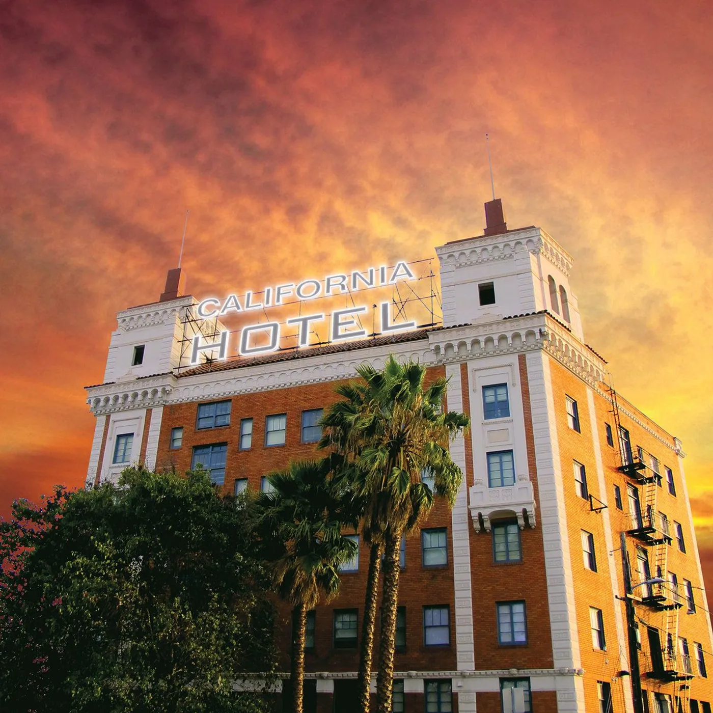 Trans Am California Hotel Vinyl Record