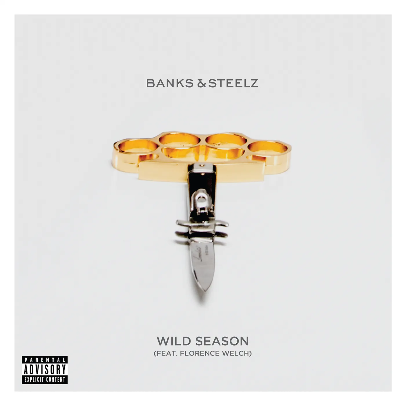 Banks & Steelz WILD SEASON Vinyl Record