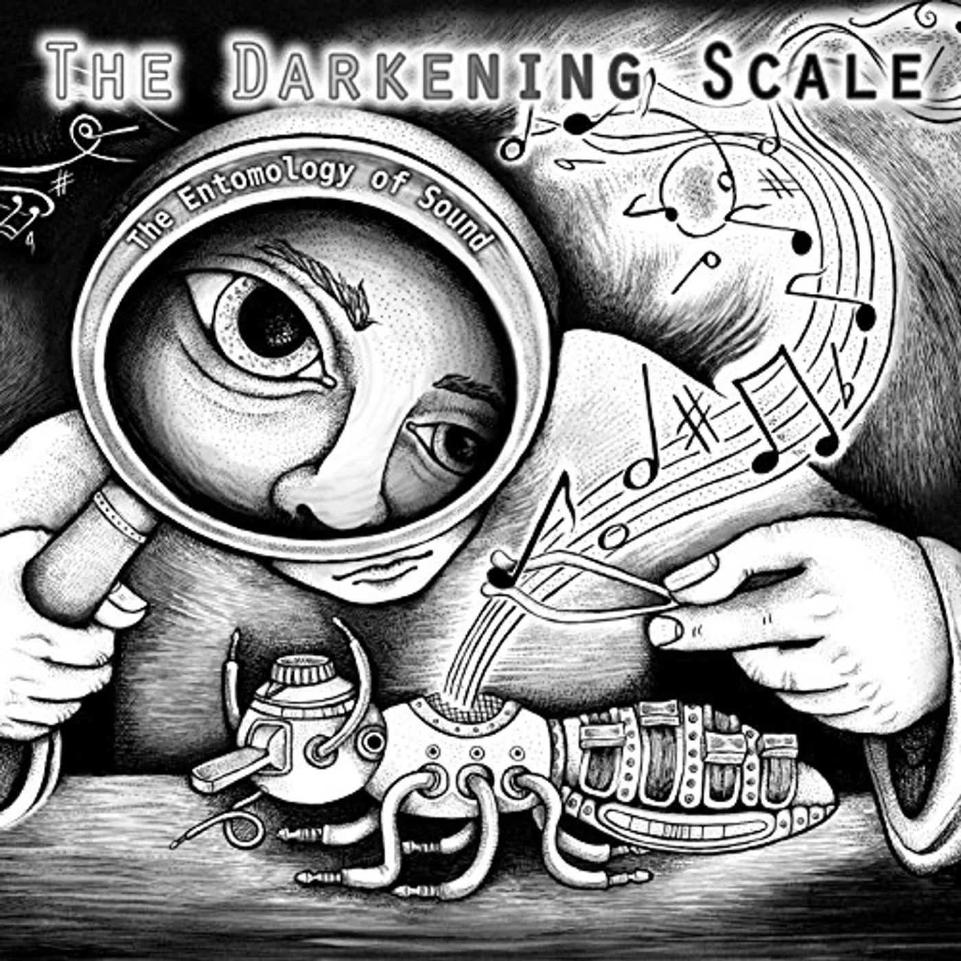 The Darkening Scale ENTOMOLOGY OF SOUND CD