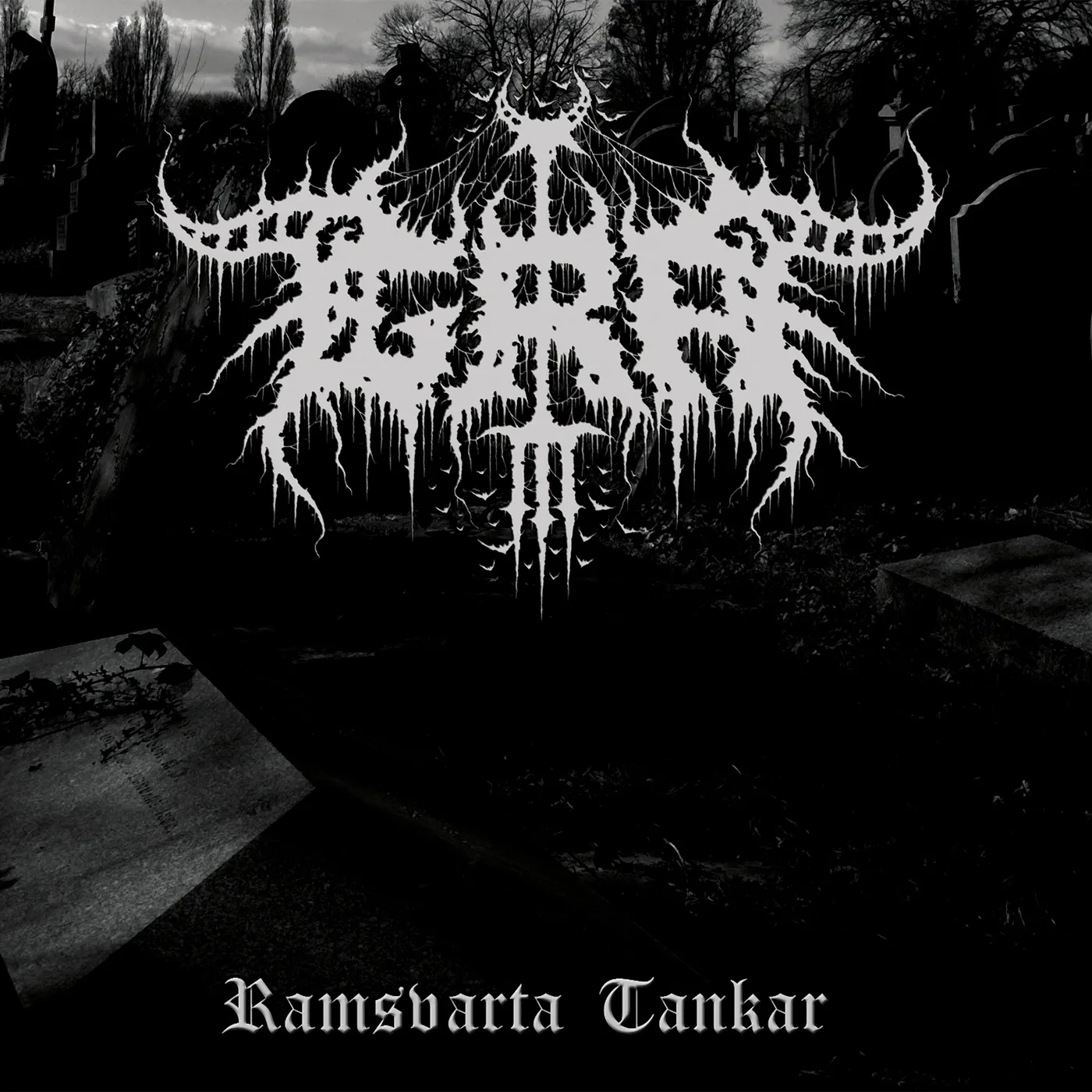 Gra RAMSVARTA TANKAR CD