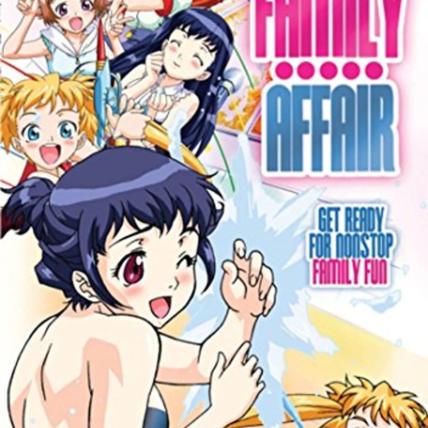 FAMILY AFFAIR DVD