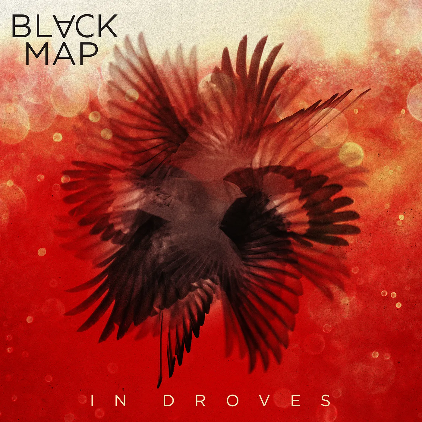 Black Map IN DROVES CD