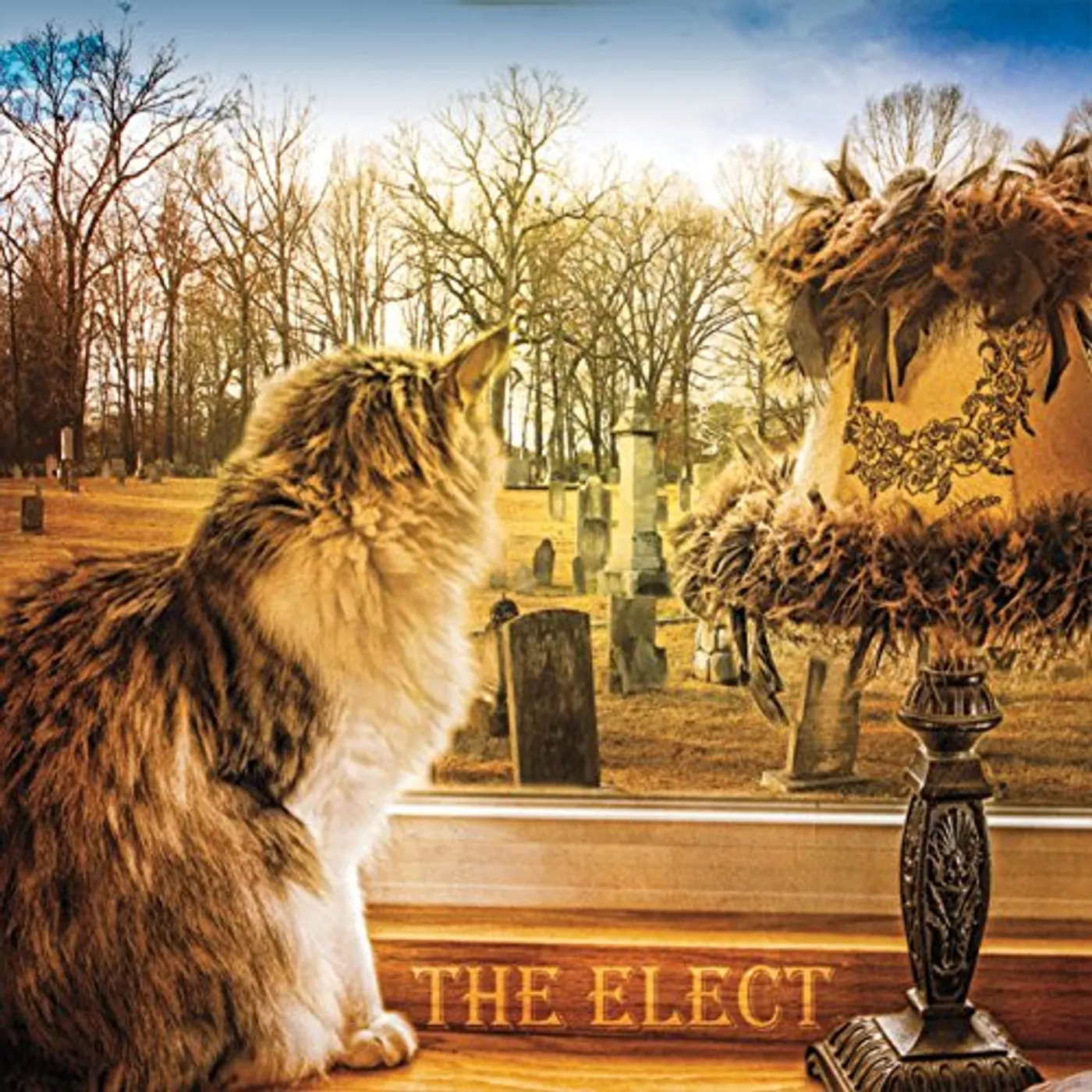 Elect GREETING CD