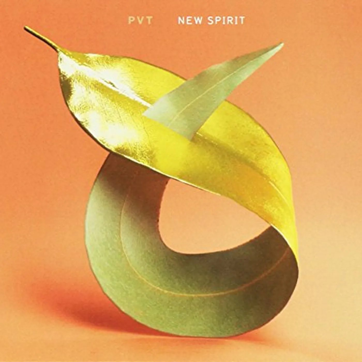 PVT NEW SPIRIT CD