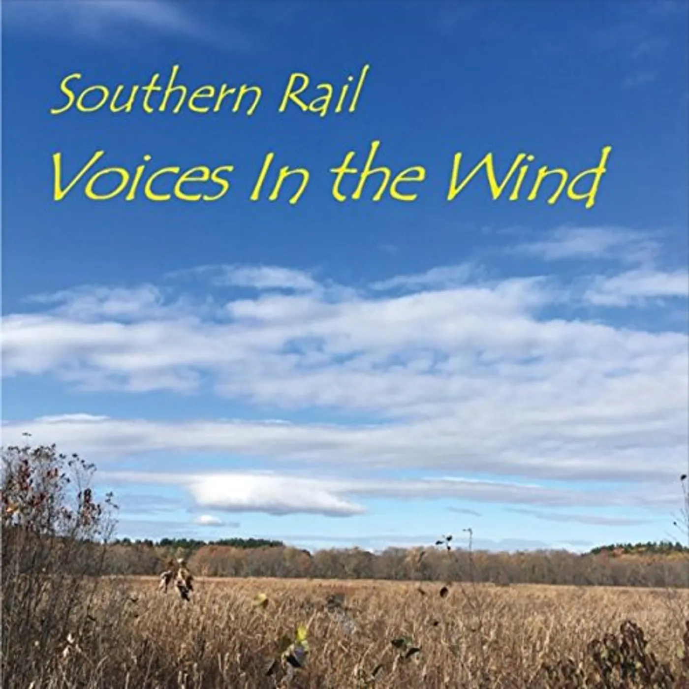 Southern Rail VOICES IN THE WIND CD