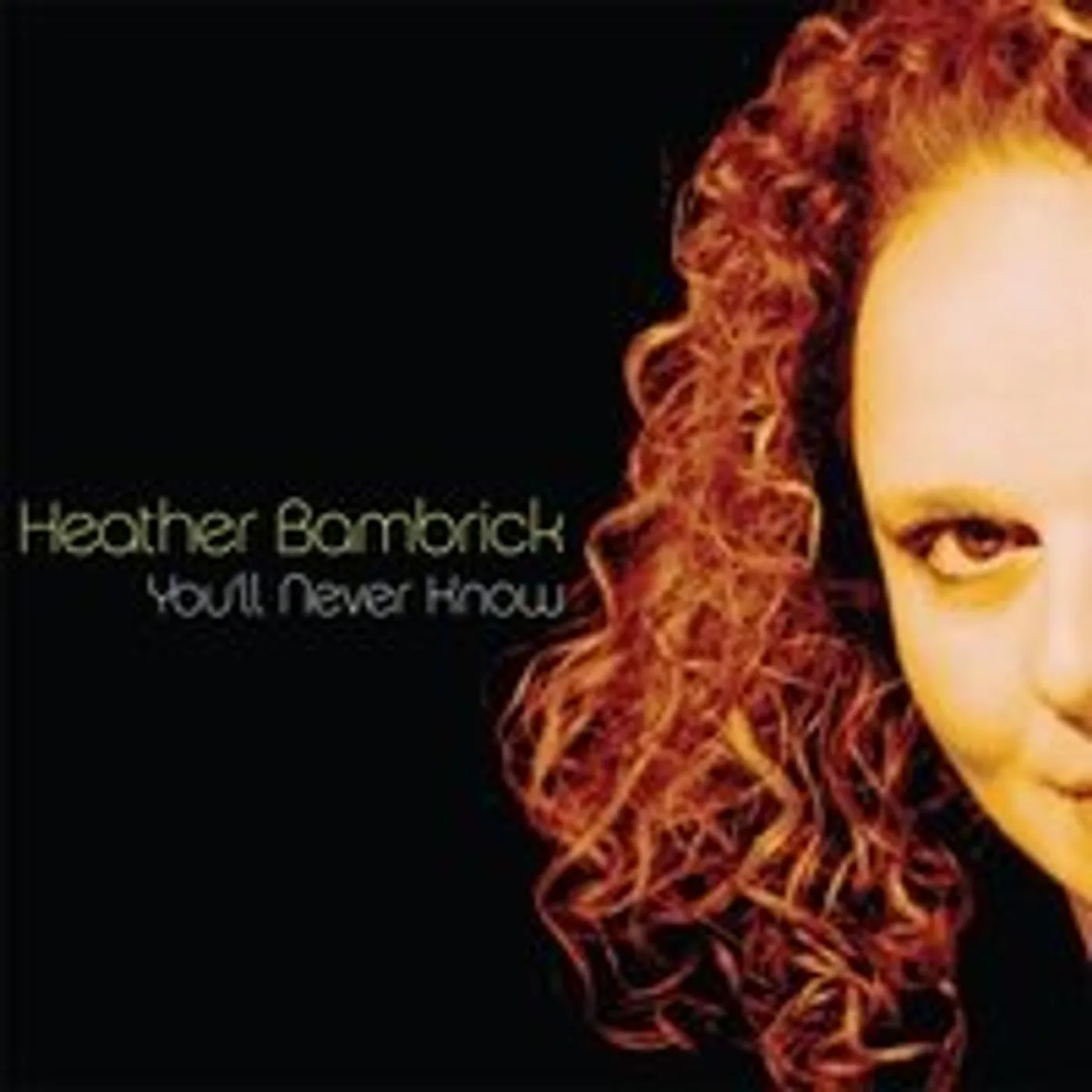 Heather Bambrick YOU'LL NEVER KNOW CD