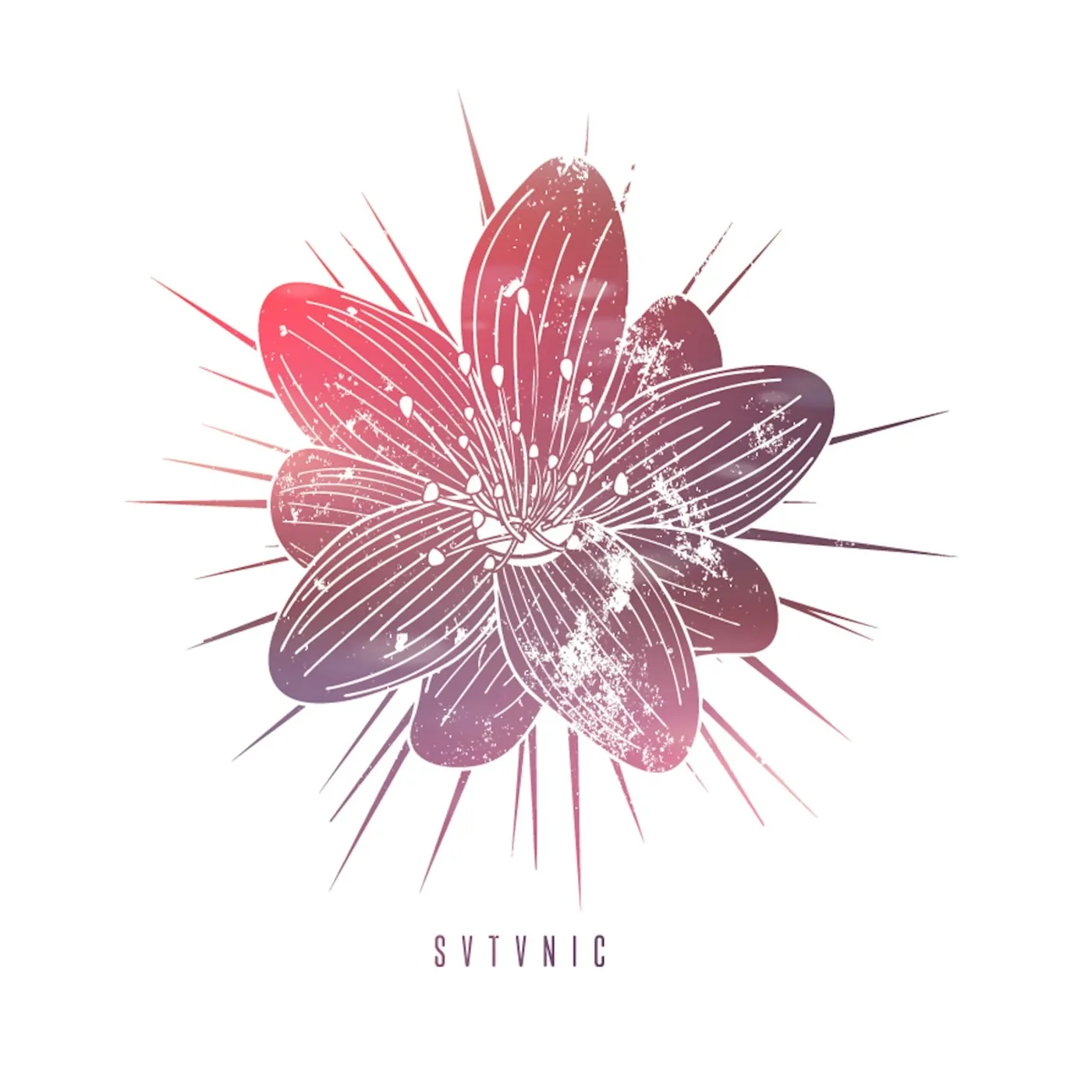 Watch Out Stampede SVTVNIC CD