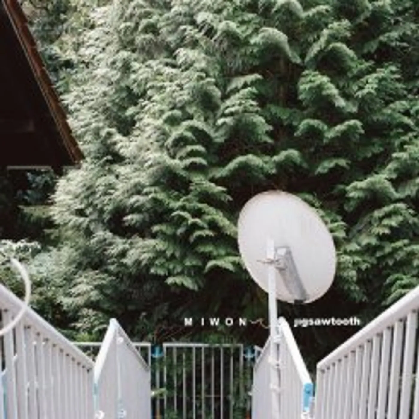 Miwon JIGSAWTOOTH CD
