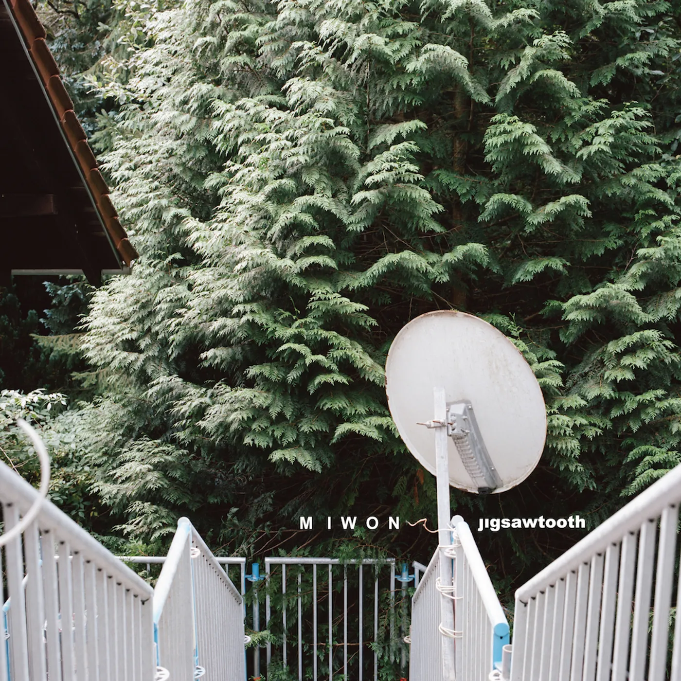 Miwon Jigsawtooth Vinyl Record
