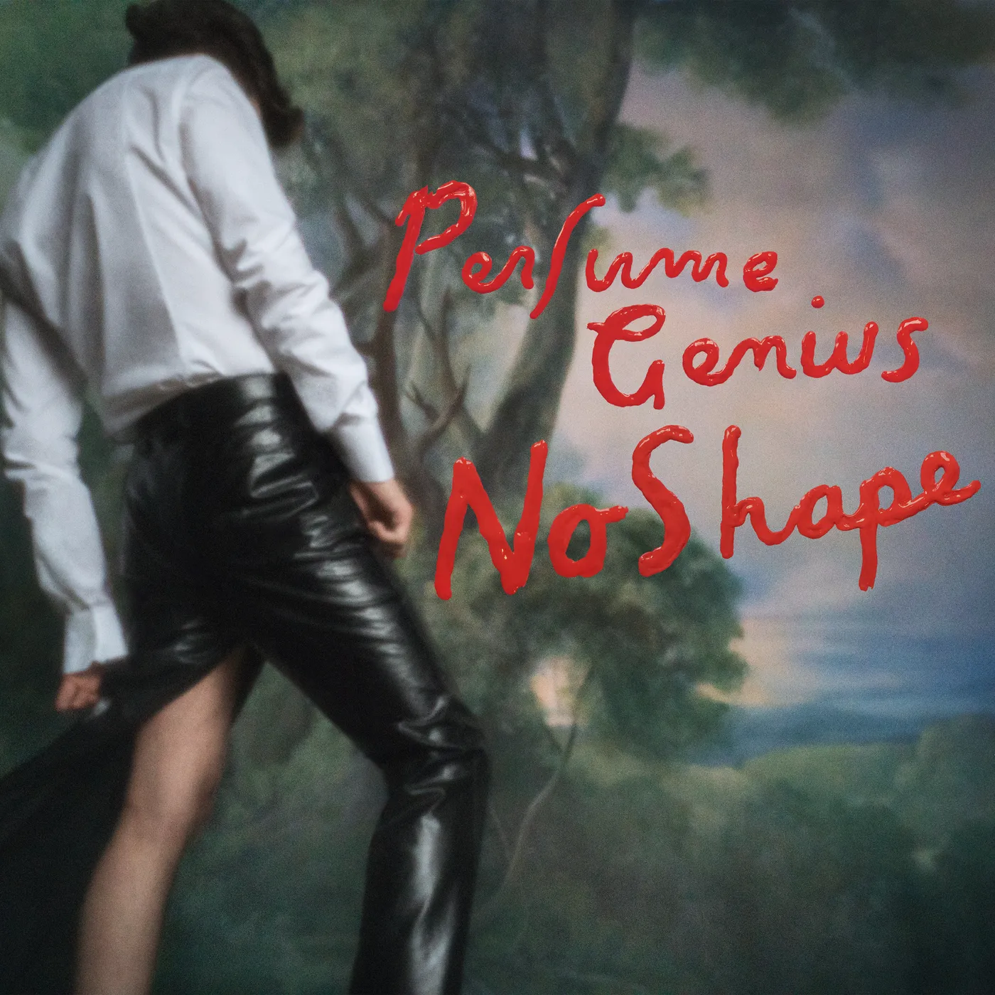 Perfume Genius No Shape Vinyl Record