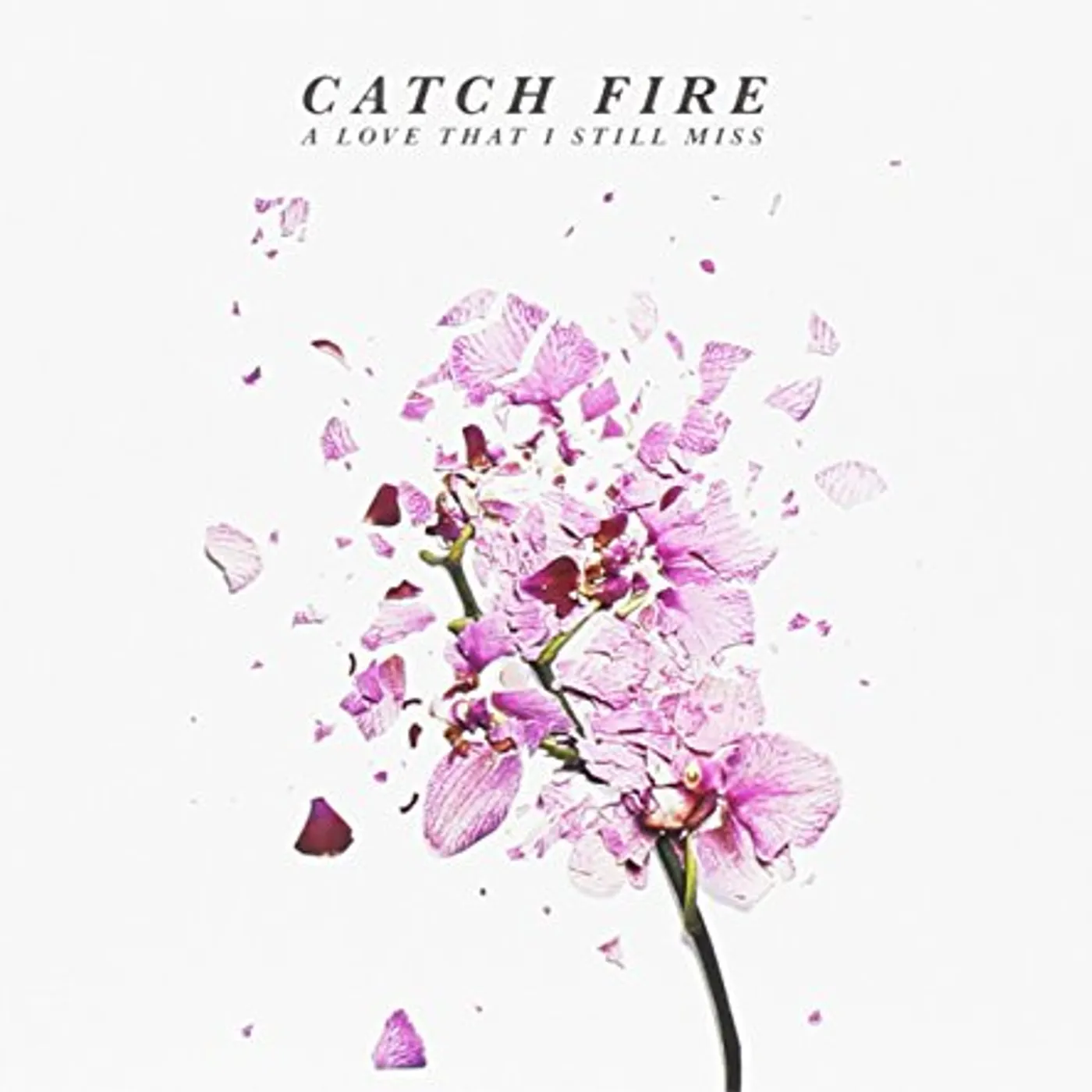 Catch Fire LOVE THAT I STILL MISS CD
