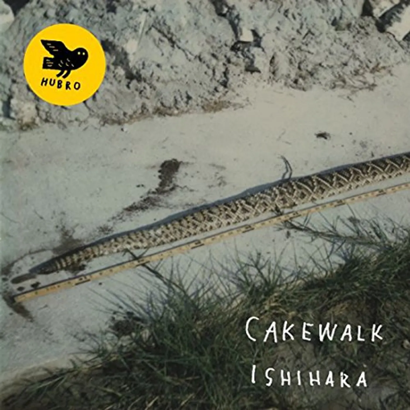 Cakewalk Ishihara Vinyl Record
