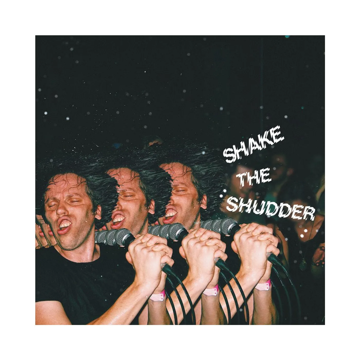 !!! Shake The Shudder Vinyl Record