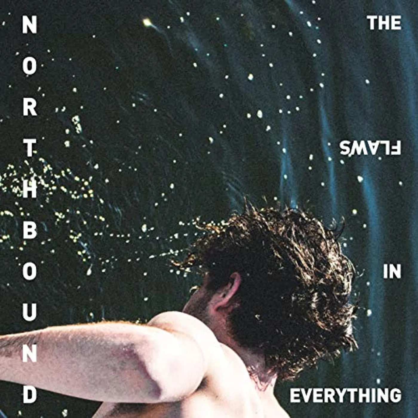 Northbound FLAWS IN EVERYTHING Vinyl Record