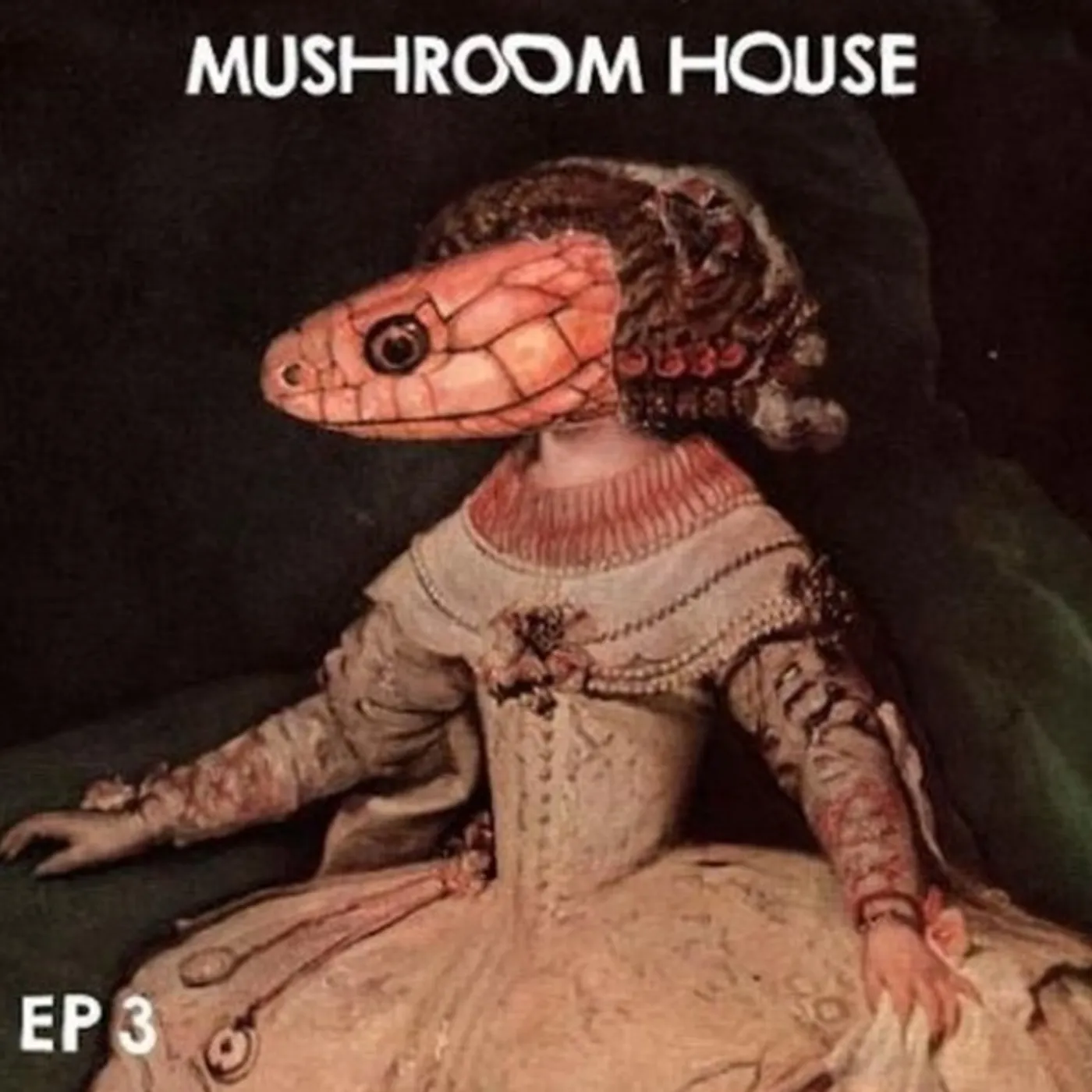 MUSHROOM HOUSE 3 / VARIOUS Vinyl Record