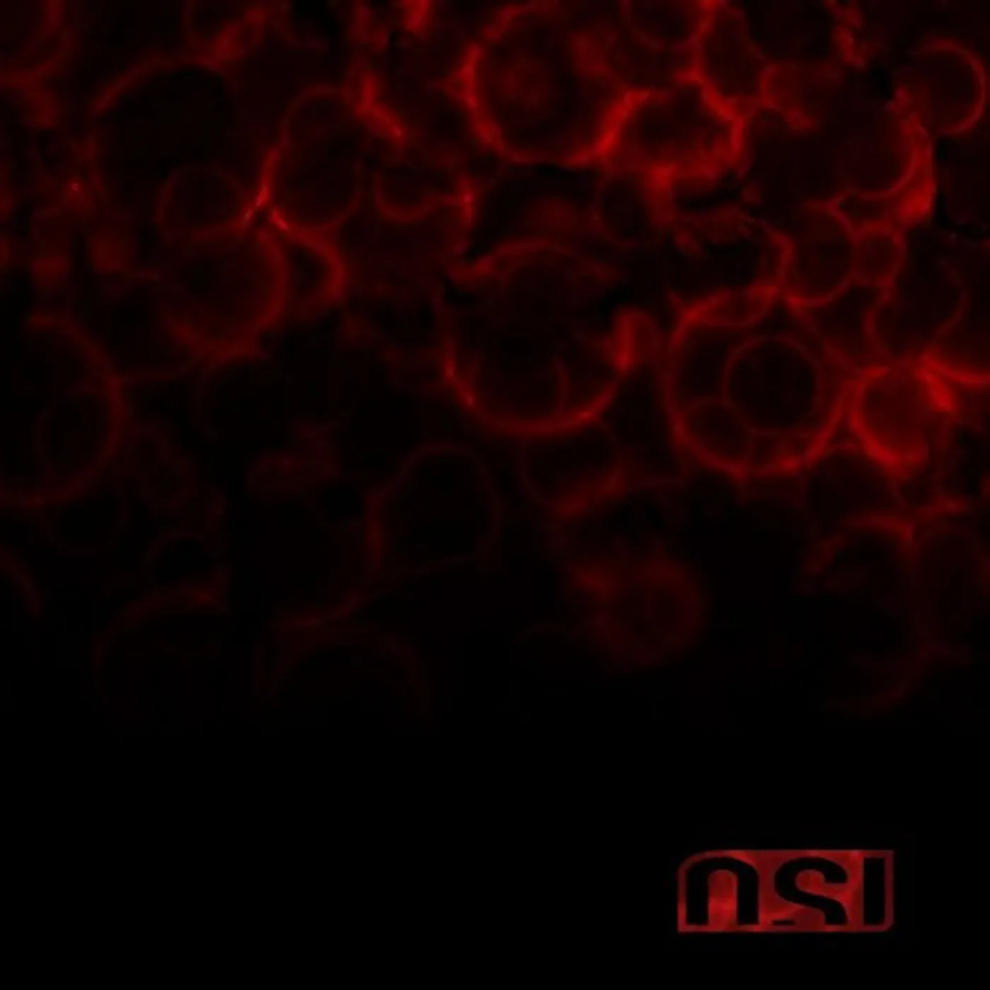 OSI Blood Vinyl Record