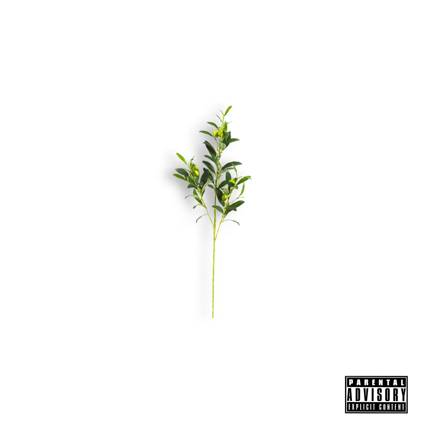 Locksmith OLIVE BRANCH CD