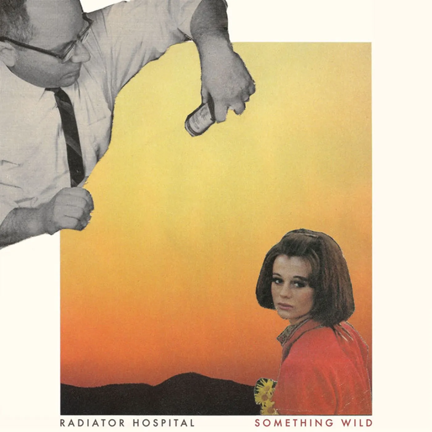 Radiator Hospital Something Wild Vinyl Record
