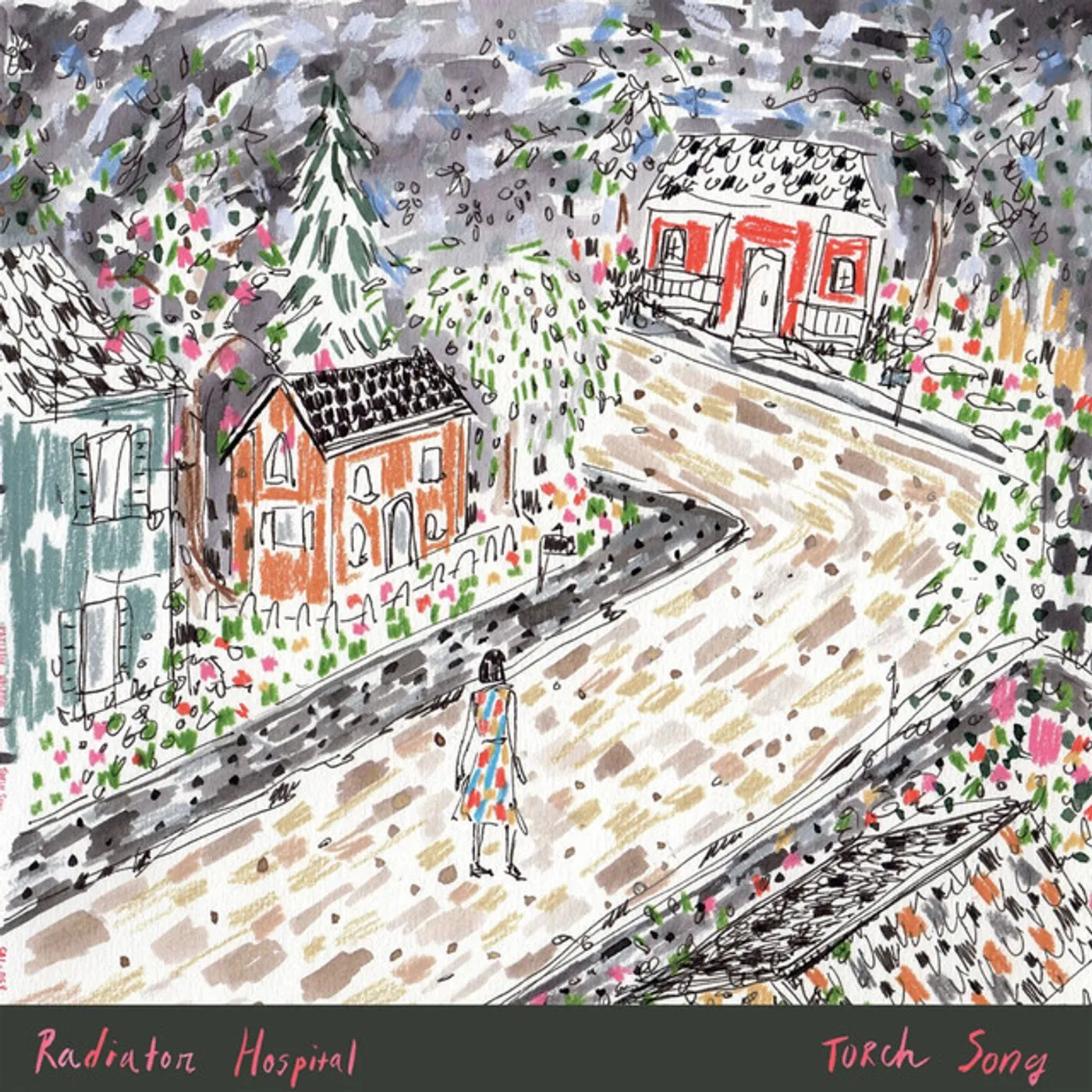 Radiator Hospital Torch Song Vinyl Record