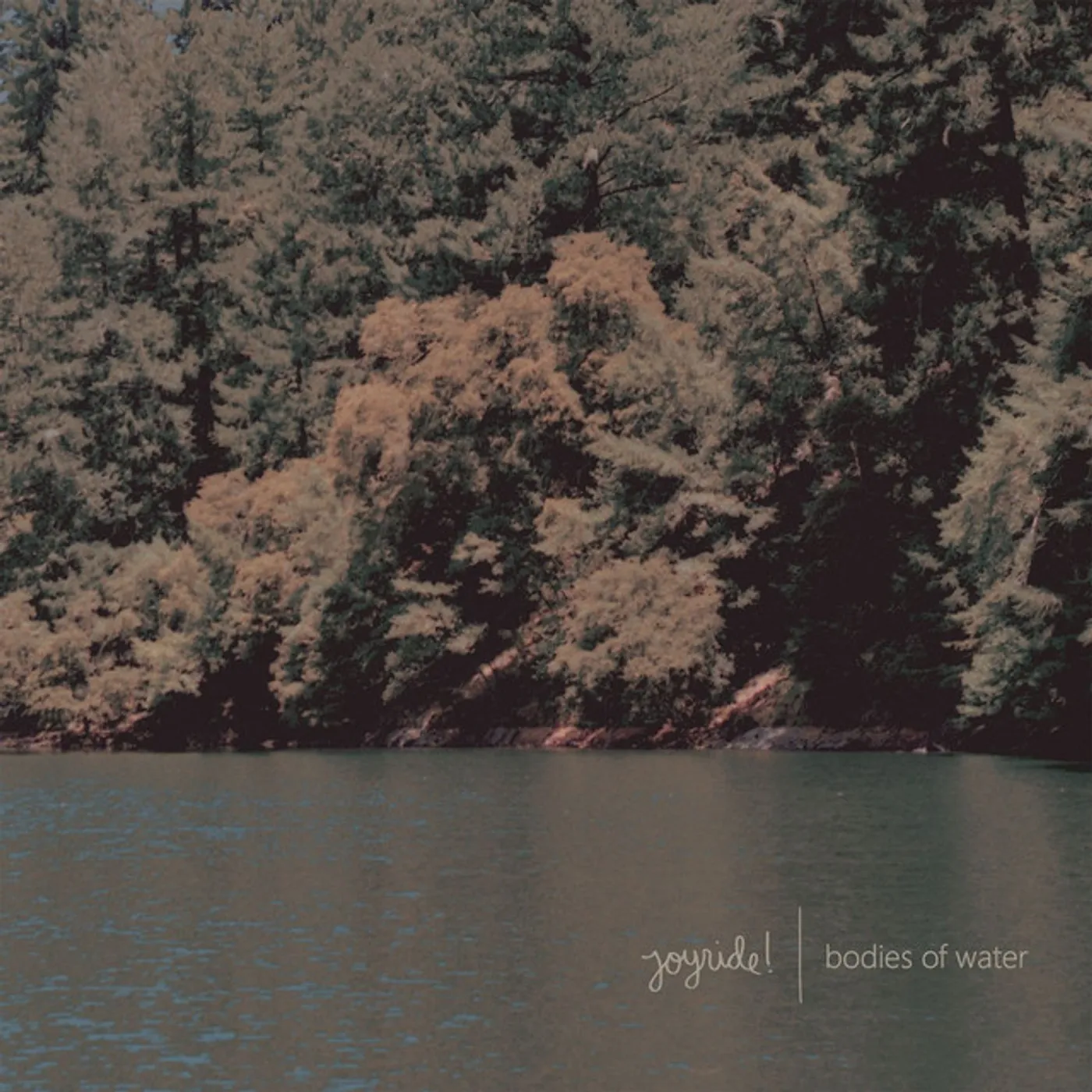 joyride! Bodies of Water Vinyl Record