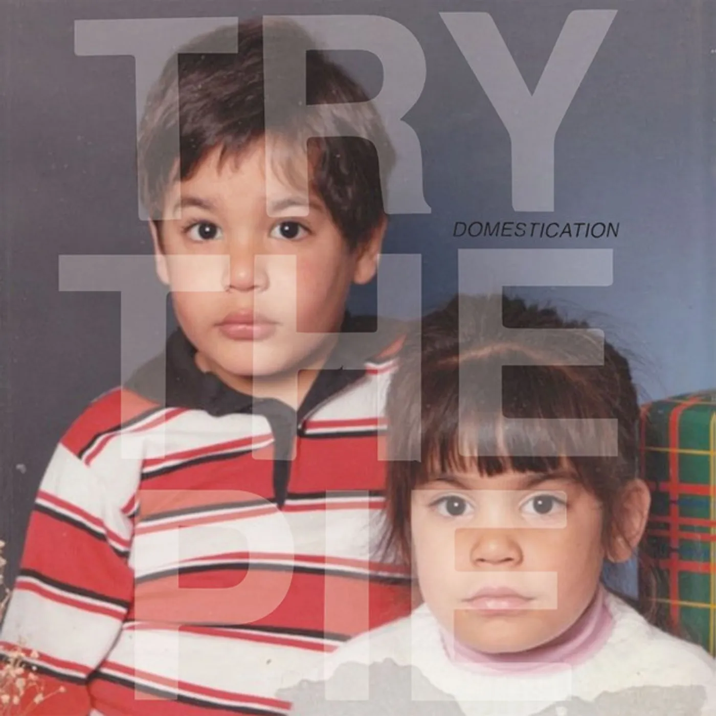 Try the Pie Domestication Vinyl Record