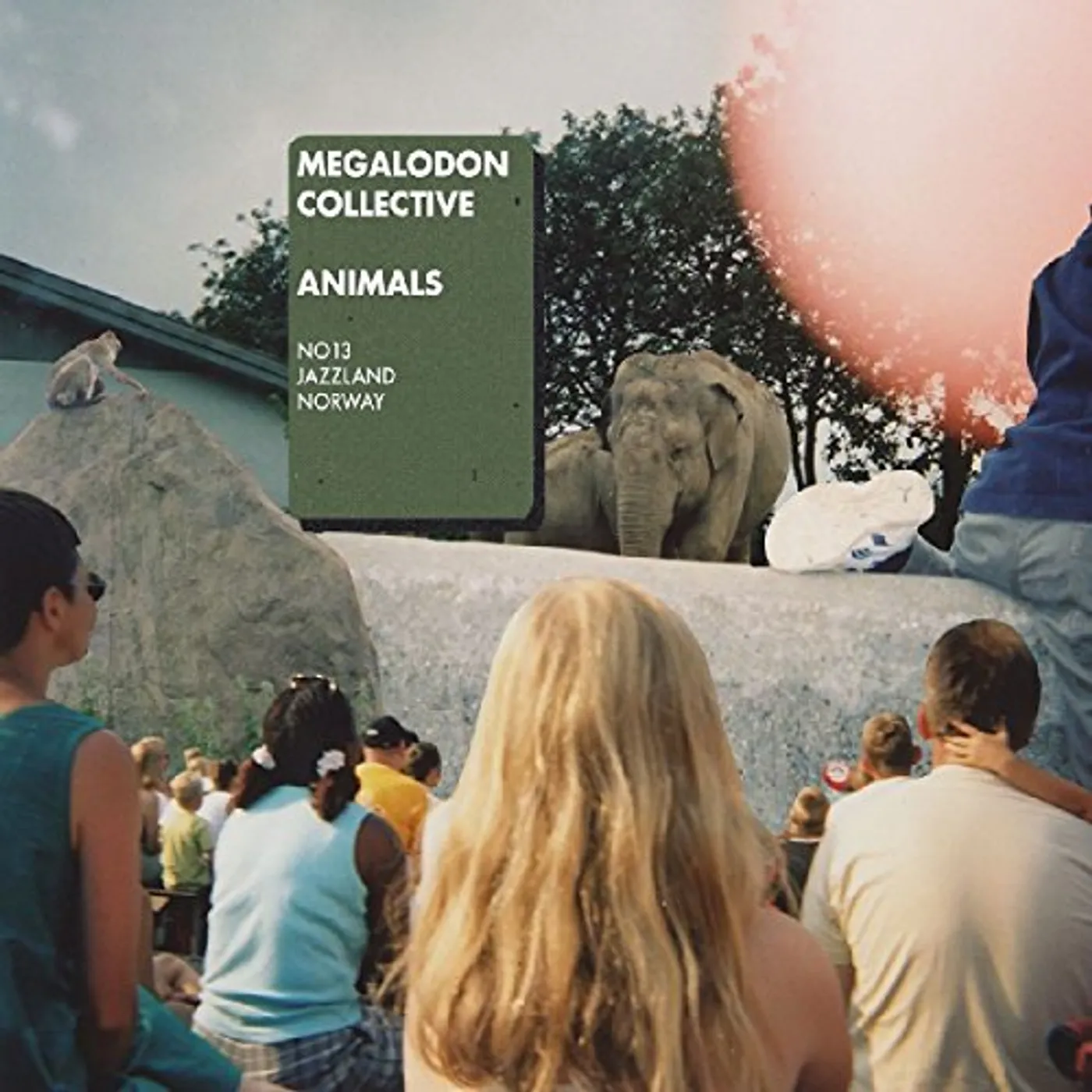 Megalodon Collective Animals Vinyl Record