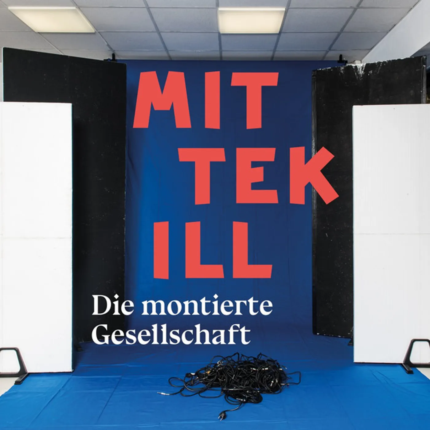 Mittekill Die montierte Gesellschaft Vinyl Record