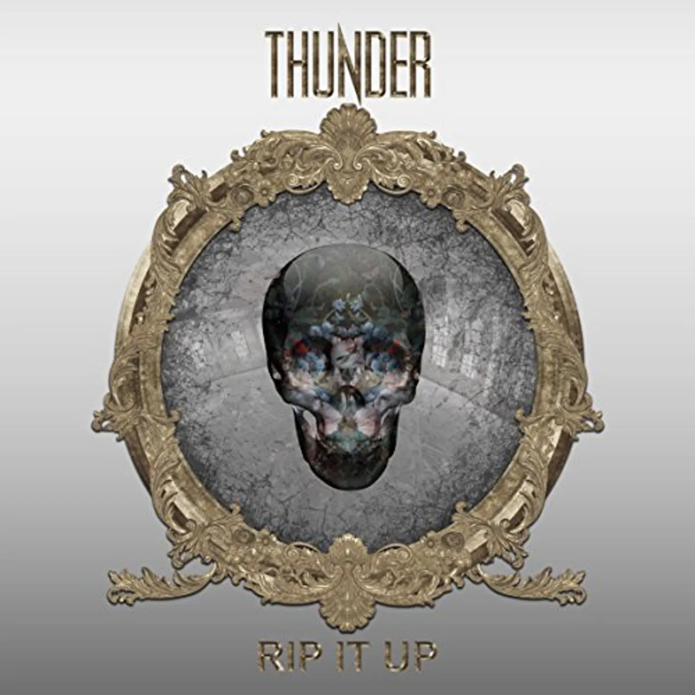 Thunder Rip It Up Vinyl Record
