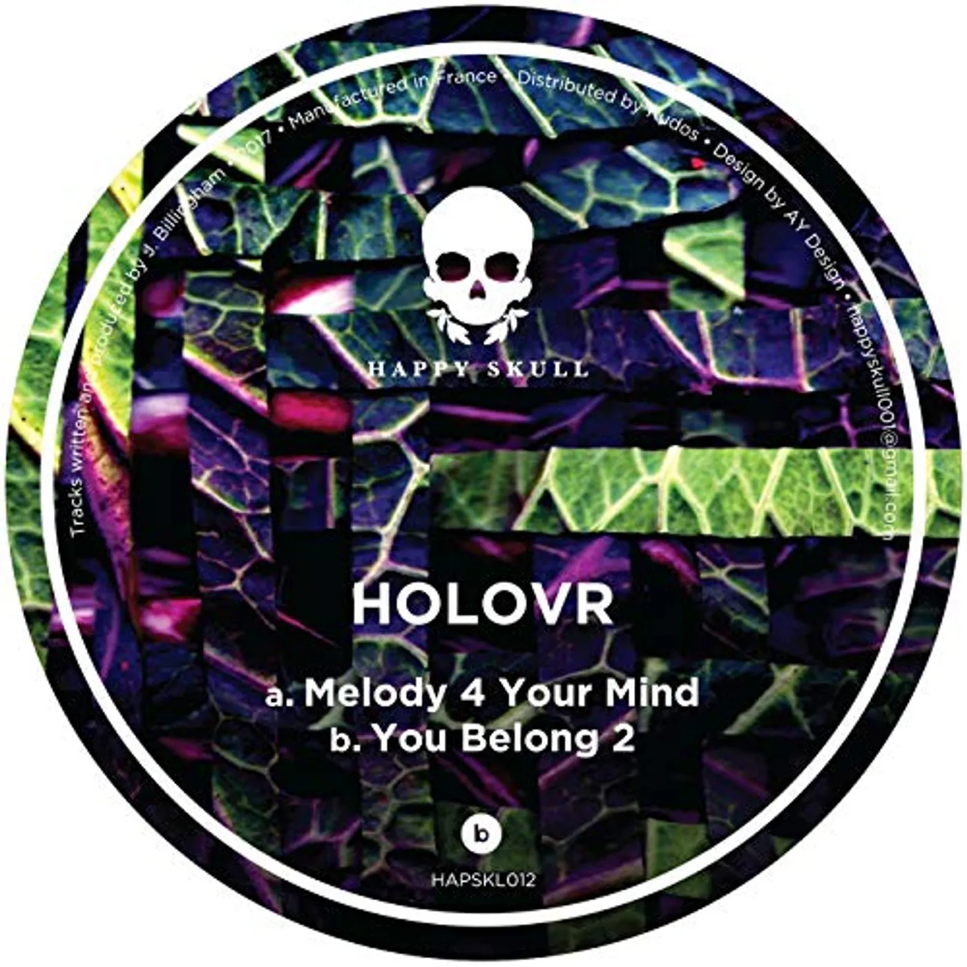 HOLOVR Melody 4 Your Mind Vinyl Record