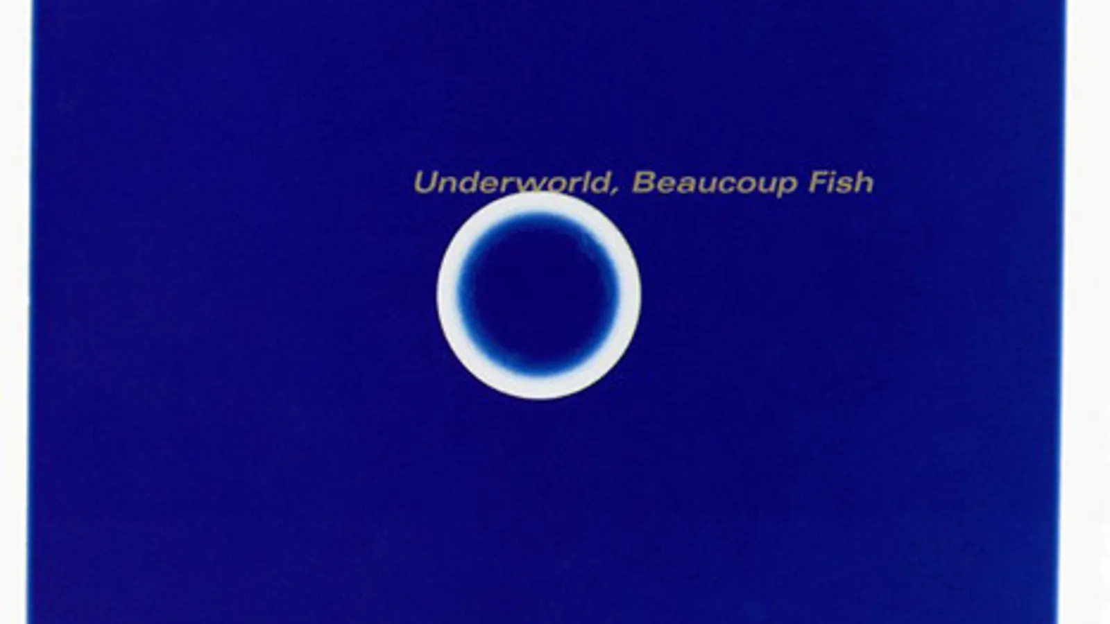洋楽 Underworld / Beaucoup Fish UNDERWORLD - Beaucoup Fish - Amazon.com Music