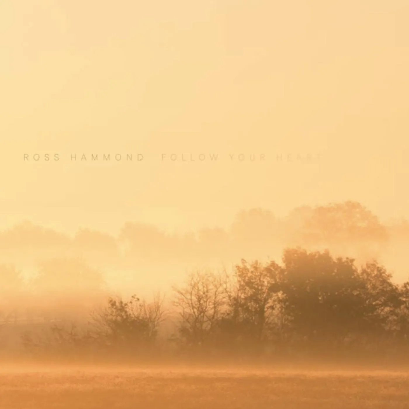 Ross Hammond Follow Your Heart Vinyl Record