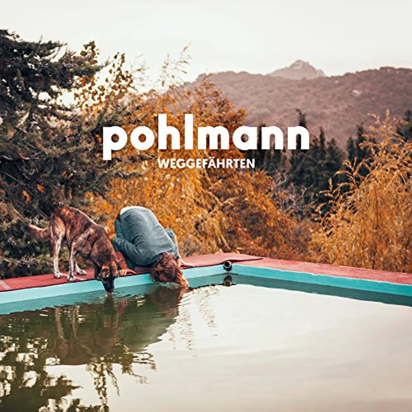 Pohlmann. WEGGEFAEHRTEN CD