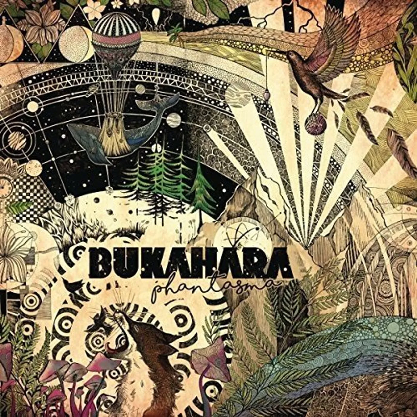 Bukahara Phantasma Vinyl Record