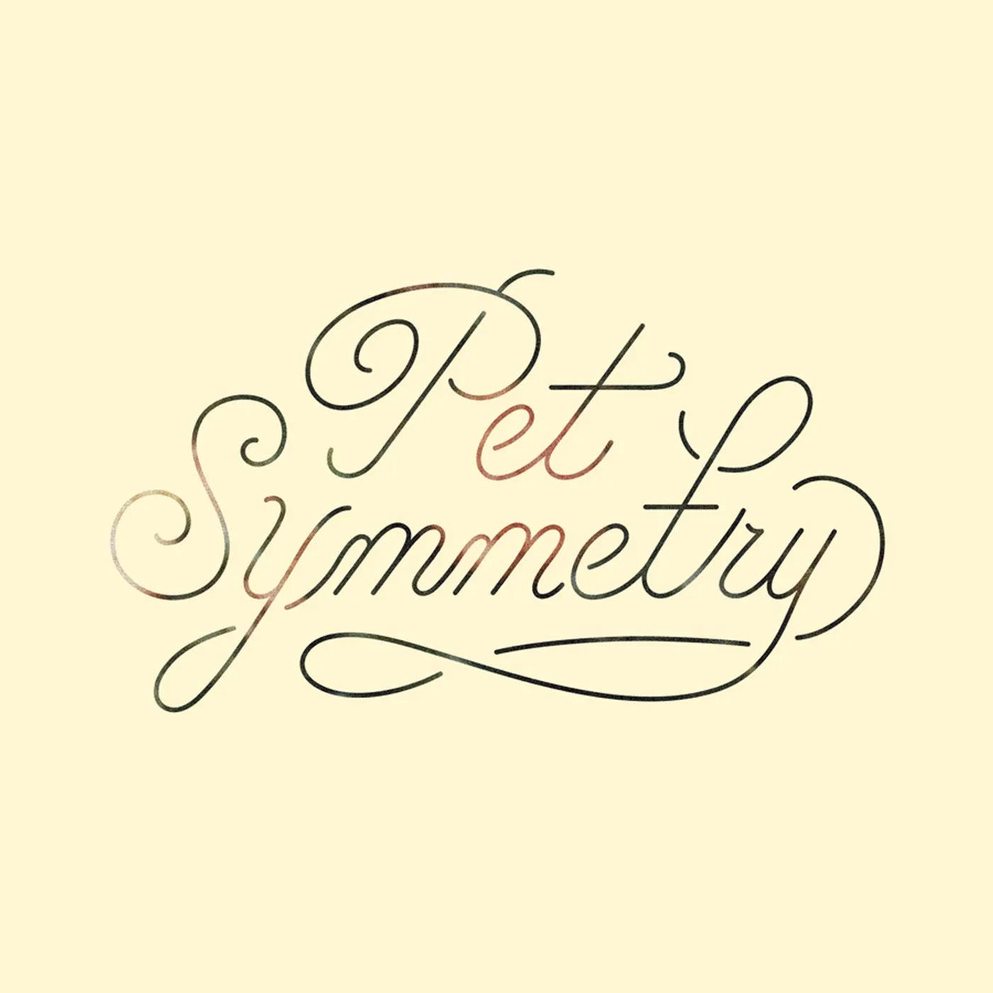 Pet Symmetry VISION CD